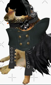 Goth Doge