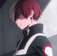 Shoto Todoroki