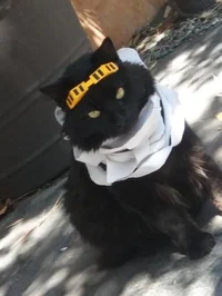 Shouta Aizawa