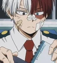 Todoroki Shoto 