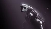 Xenomorph