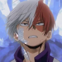 Shoto todoroki