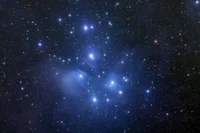 Constellation school