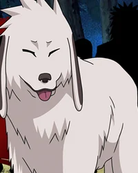 Akamaru