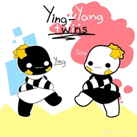 Yin Yang Twins
