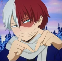 Todoroki shoto 