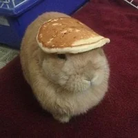 Pancaek