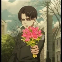 Levi Ackerman 