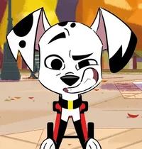 Delgado Dalmatian