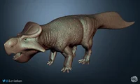 Amphiceratops