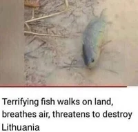 Terrifying Fish