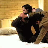 Team Free Will
