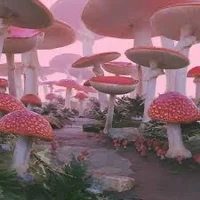 Weirdcore