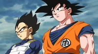 Goku and Vegeta