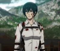 Mom mikasa 