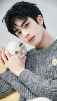 Song weilong 