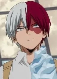 Todoroki Shoto