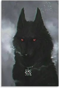 Black wolf 