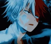 Todoroki Shoto