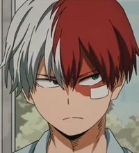 Shoto Todoroki