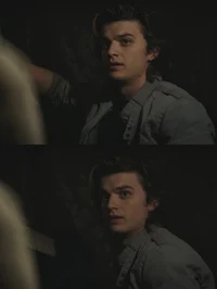 Steve Harrington 