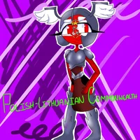 Polish Lithuanian co