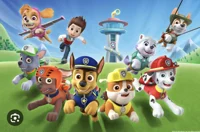 Paw patrol 