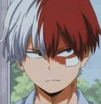 Shoto Todoroki