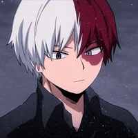 Shoto Todoroki