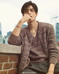 Song weilong