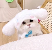 Cinnamoroll cat