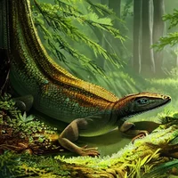 Evolution Simulation