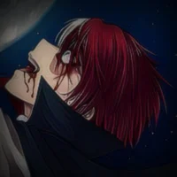 Shoto Todoroki
