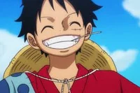 Luffy 