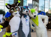 Furry group 