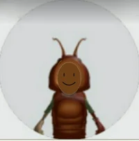 Cockroach