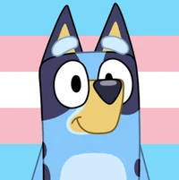 Bluey Heeler