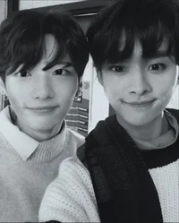 Hyunjin y Minho