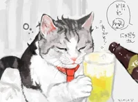 drunk cat
