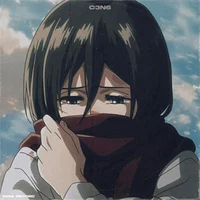 Mikasa