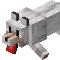 They killed your dog