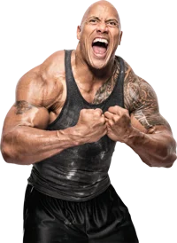 The rock