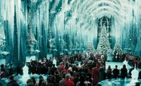 The Yule ball 