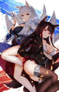 Akagi and Kaga