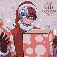 Todoroki shoto 