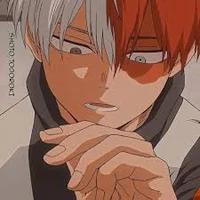 Shota Todoroki