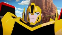 Bumblebee RID