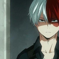 Shoto bf