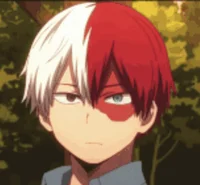 Shoto Todoroki