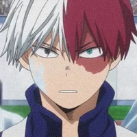 Todoroki shoto 